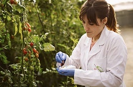 La colaboración y apuesta por la investigación está siendo «muy positiva»