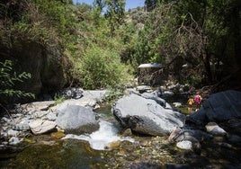 Refrescándose en el Genil en Güéjar Sierra.