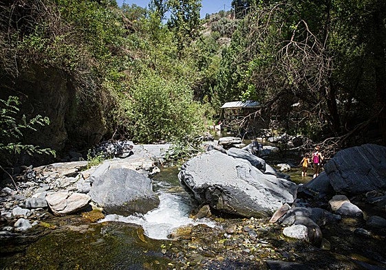 Refrescándose en el Genil en Güéjar Sierra.