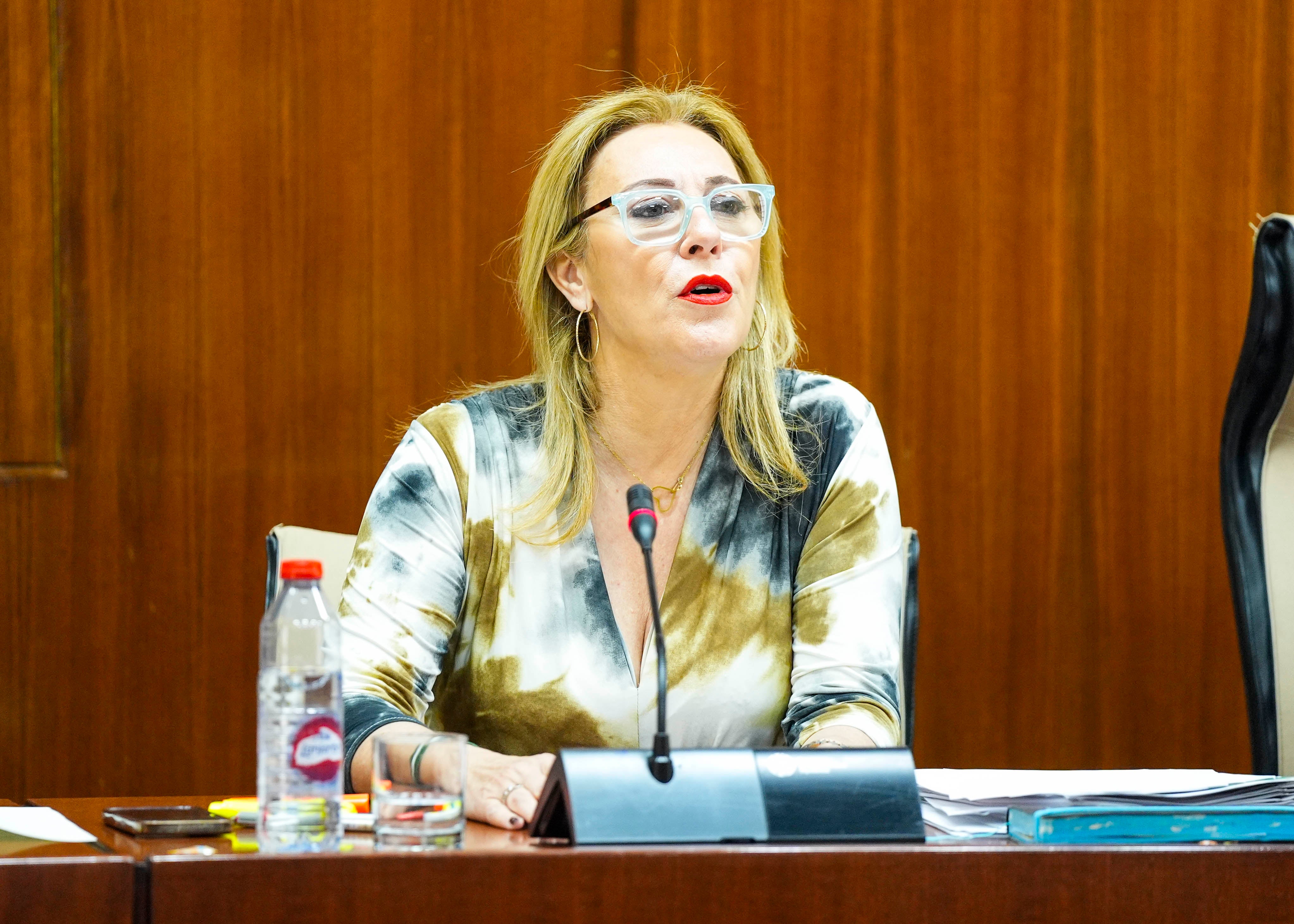 La consejera Carolina España.