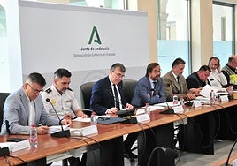 Reunión en la sede de la Junta para definir el plan antiincendios en Granada