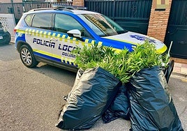 La droga incautada por los Policías en Ogíjares.