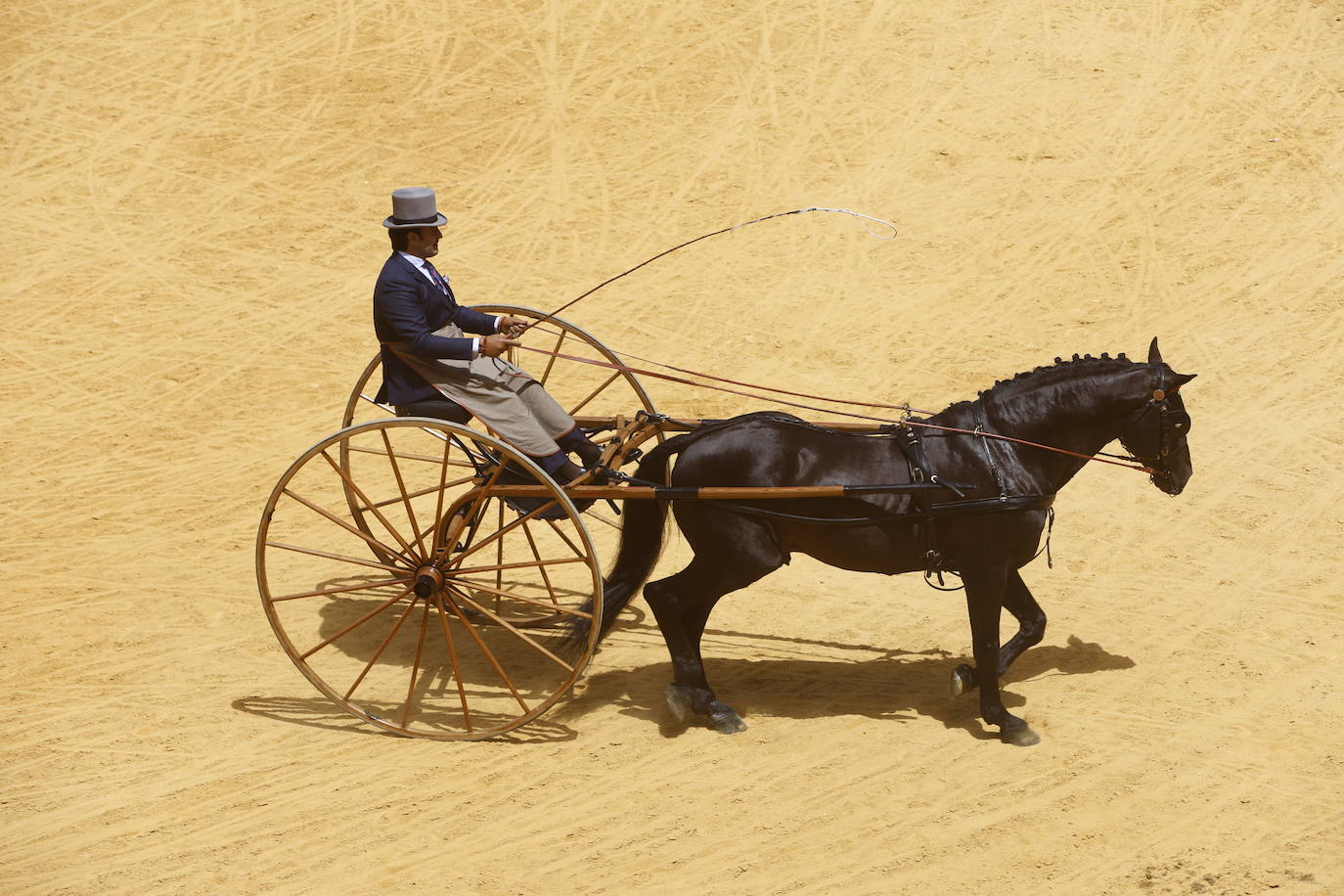 Espectaculares imágenes de los enganches en la plaza de toros de Granada