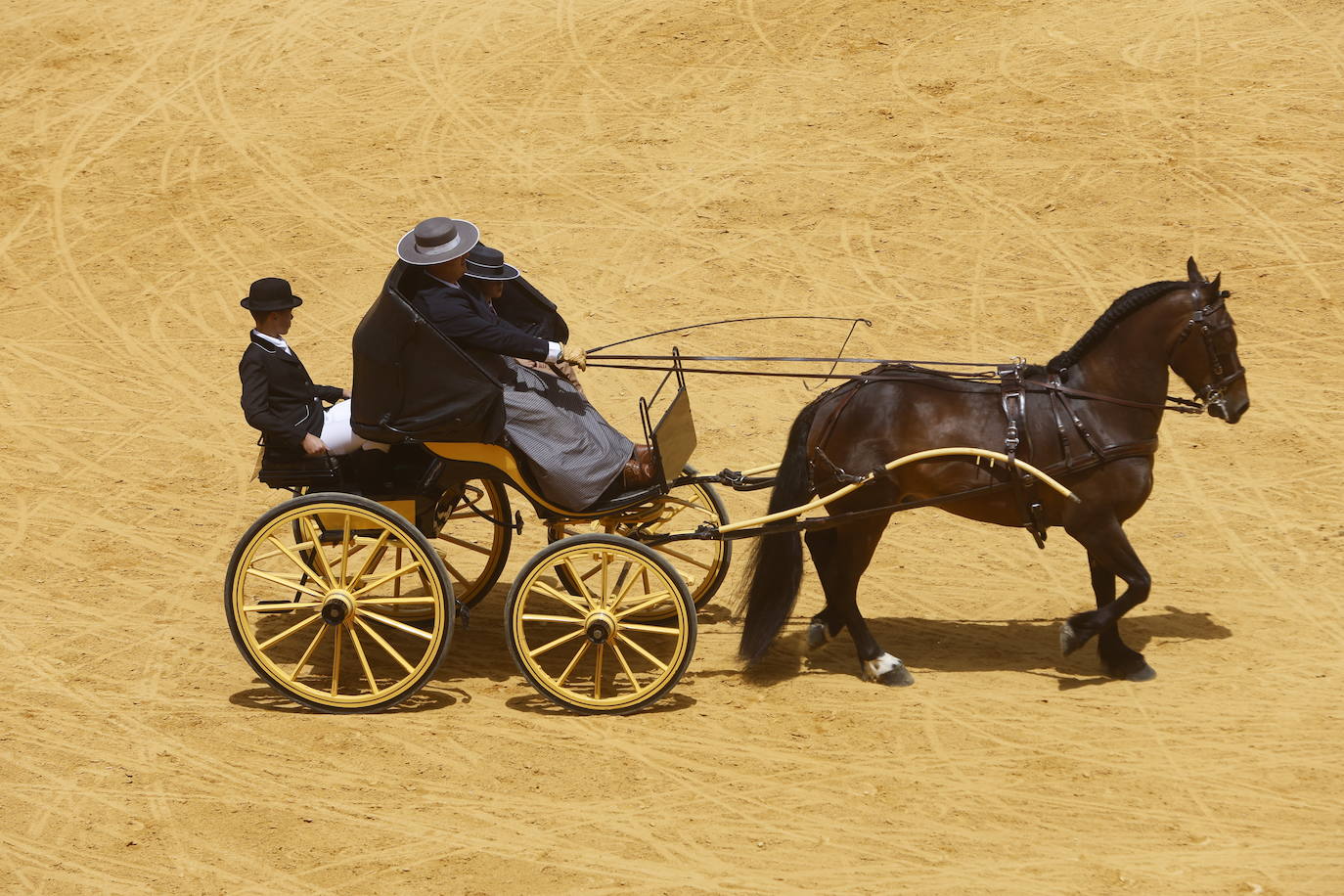 Espectaculares imágenes de los enganches en la plaza de toros de Granada