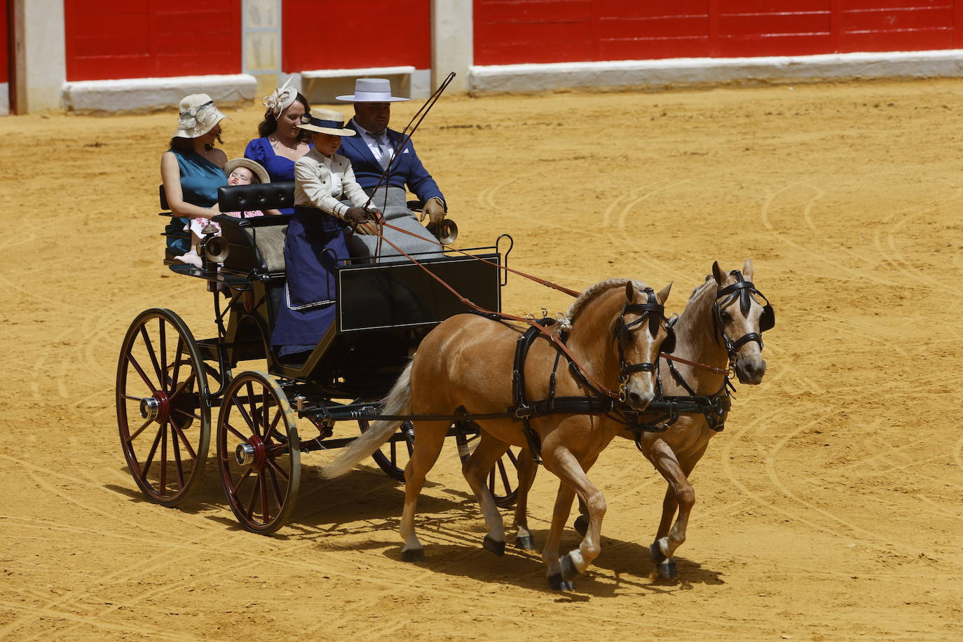 Espectaculares imágenes de los enganches en la plaza de toros de Granada