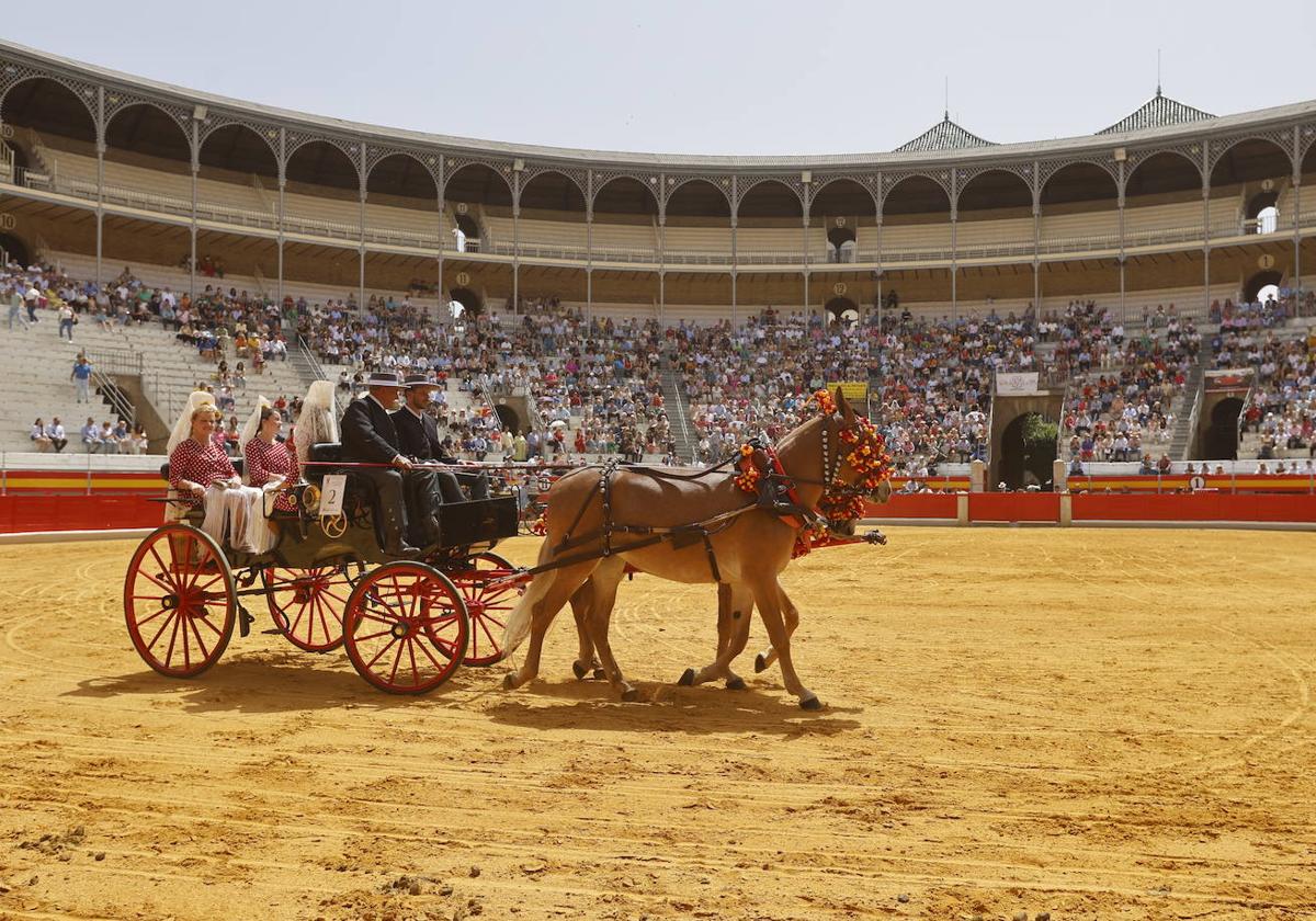 XXIV Exhibición de Enganches de Tradición.