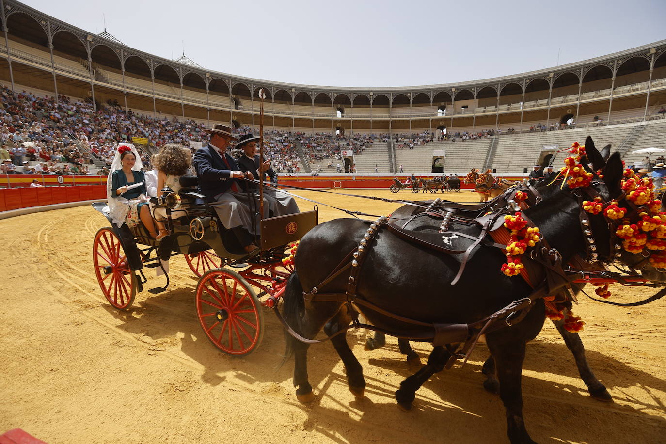 Espectaculares imágenes de los enganches en la plaza de toros de Granada