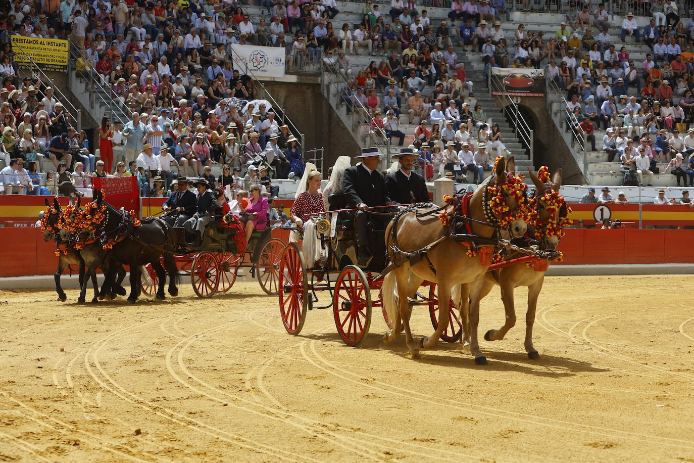 Espectaculares imágenes de los enganches en la plaza de toros de Granada