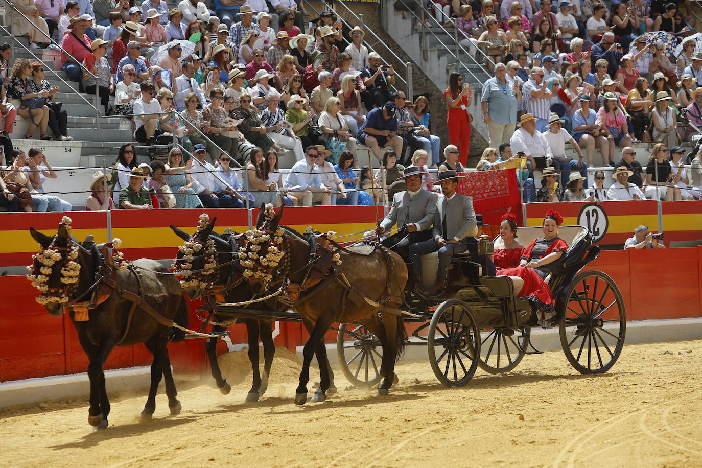 Espectaculares imágenes de los enganches en la plaza de toros de Granada