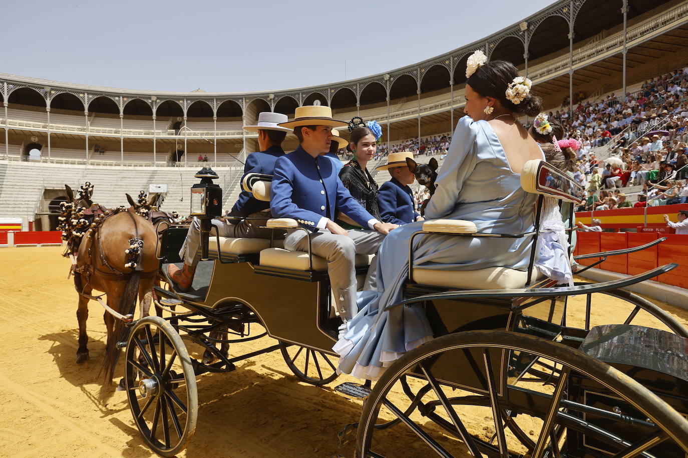 Espectaculares imágenes de los enganches en la plaza de toros de Granada