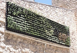 El jardín vertical se instaló sin informe de Cultura que lo avalase.