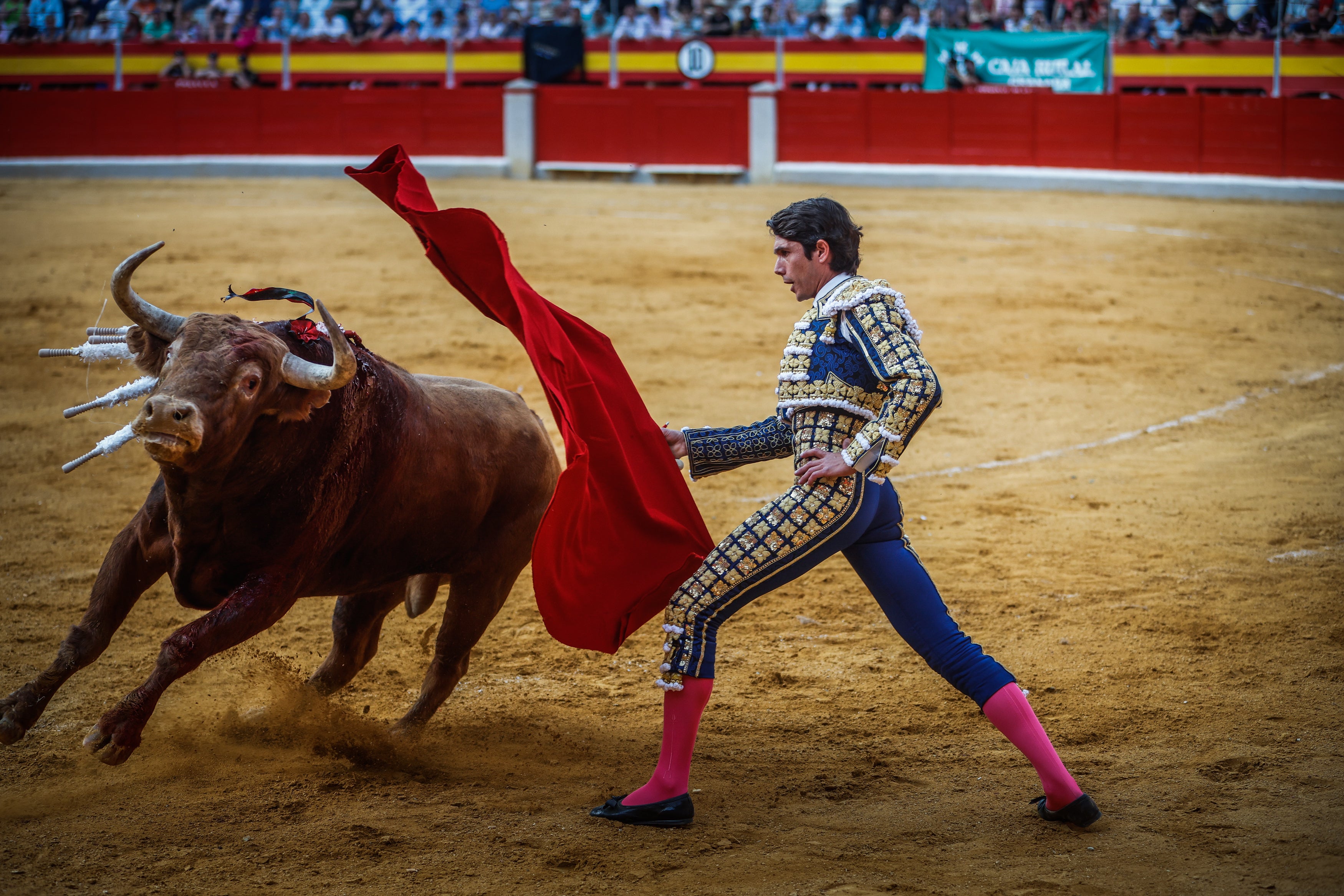 Castella, sin fortuna en su lote.