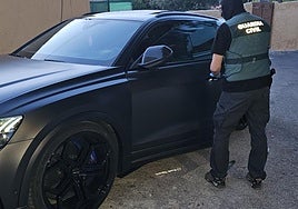 Macrooperación 'Ovidio' en el Poniente almeriense.