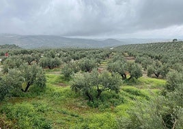 Otro de los grandes retos es definir la nueva Política Agraria Comunitaria que entrará en vigor a partir de 2027.