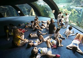 Niños del campamento de verano del Parque de las Ciencias contemplan los peces del biodomo.