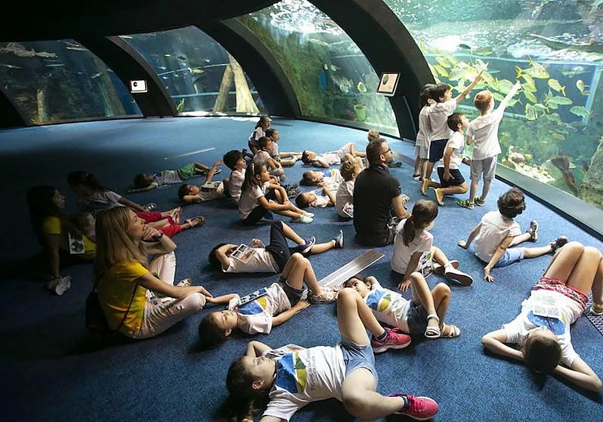 Niños del campamento de verano del Parque de las Ciencias contemplan los peces del biodomo.