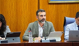 El consejero de Sostenibilidad, Medio Ambiente y Economía Azul, Ramón Fernández-Pacheco.