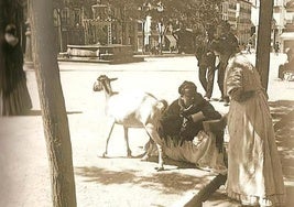 De la ubre a la taza en Plaza Nueva.