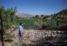 Zona donde se construirá el viaducto sobre el Arroyo Salar, en las inmediaciones de la villa romana.