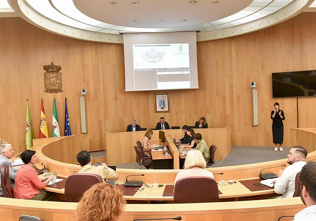 Pleno extraordinadio en la Diputación de Granada.