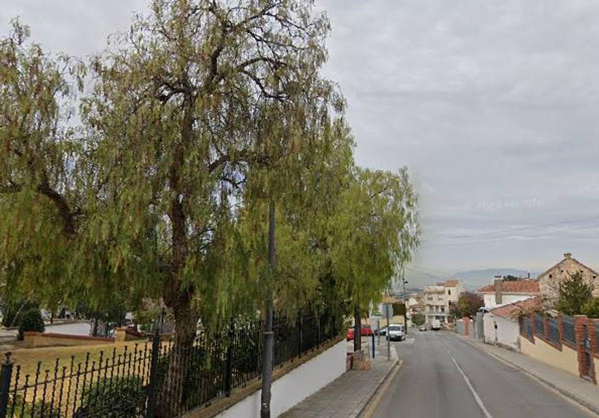 Zona aproximada de La Zubia en la que tuvo lugar la detención.