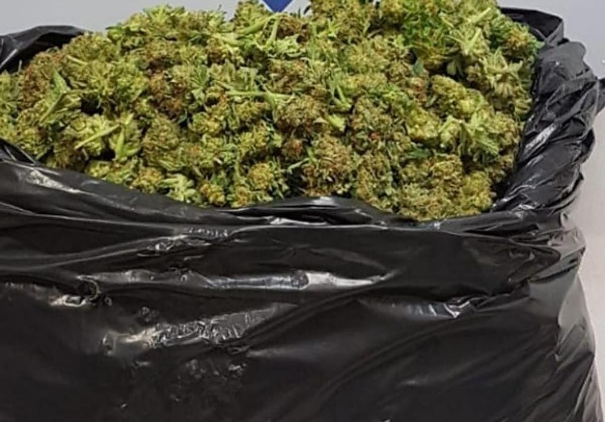 Foto de archivo de marihuana en una bolsa.