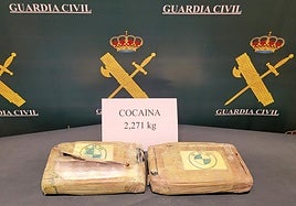 Los dos paquetes de cocaína intervenidos.