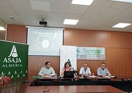 Miguel Ángel Serrano, Adoración Blanque, Juan Garrido y Juan Antonio Criado.