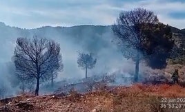 Imagen del paraje afectado por las llamas.