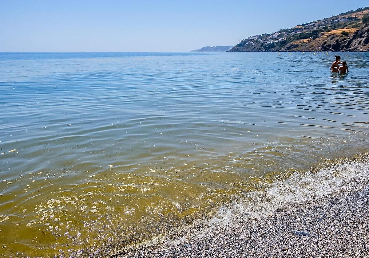 Las imágenes del regreso de la mancha a la playa de Salobreña