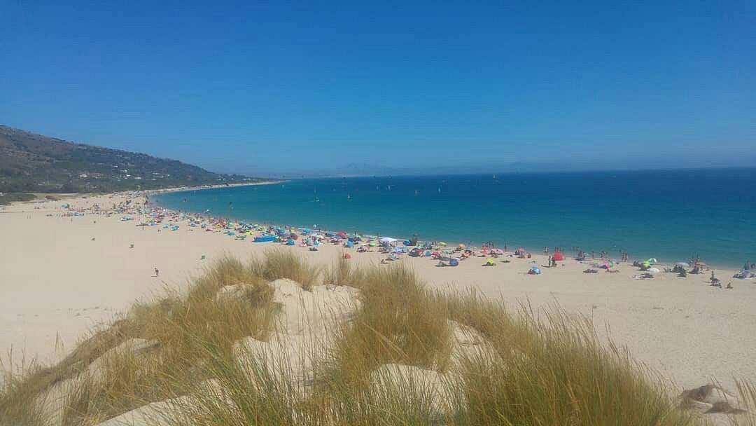 Playa de Punta Paloma desde sus dunas.