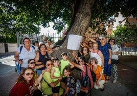 Los vecinos del barrio de la Cruz se abrazan a su morera centenaria y piden al Ayuntamiento que la cuide y la mantenga adecuadamente.