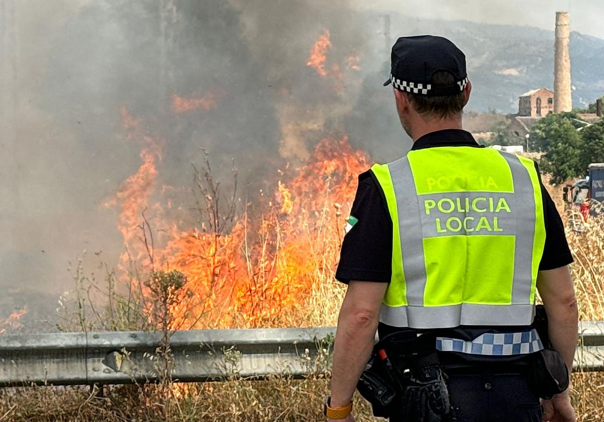 Las llamas devoran el pasto de la Avenida de Andalucía de Granada.