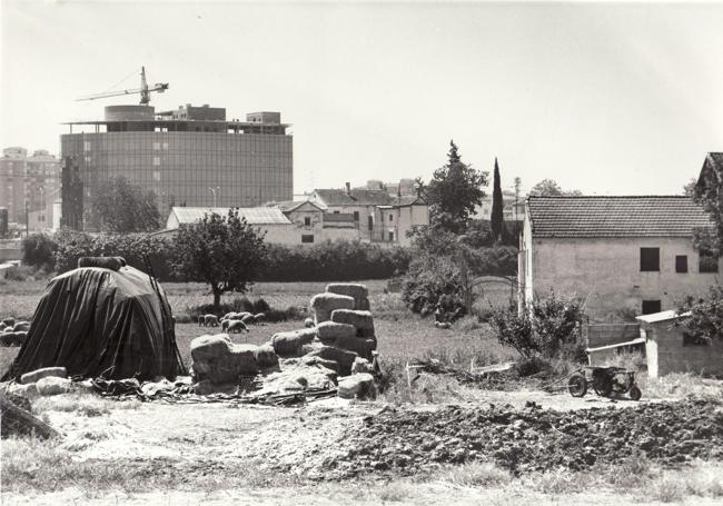 Una granja en primer término junto a las obras de construcción de la sede de la Caja Rural de Granada