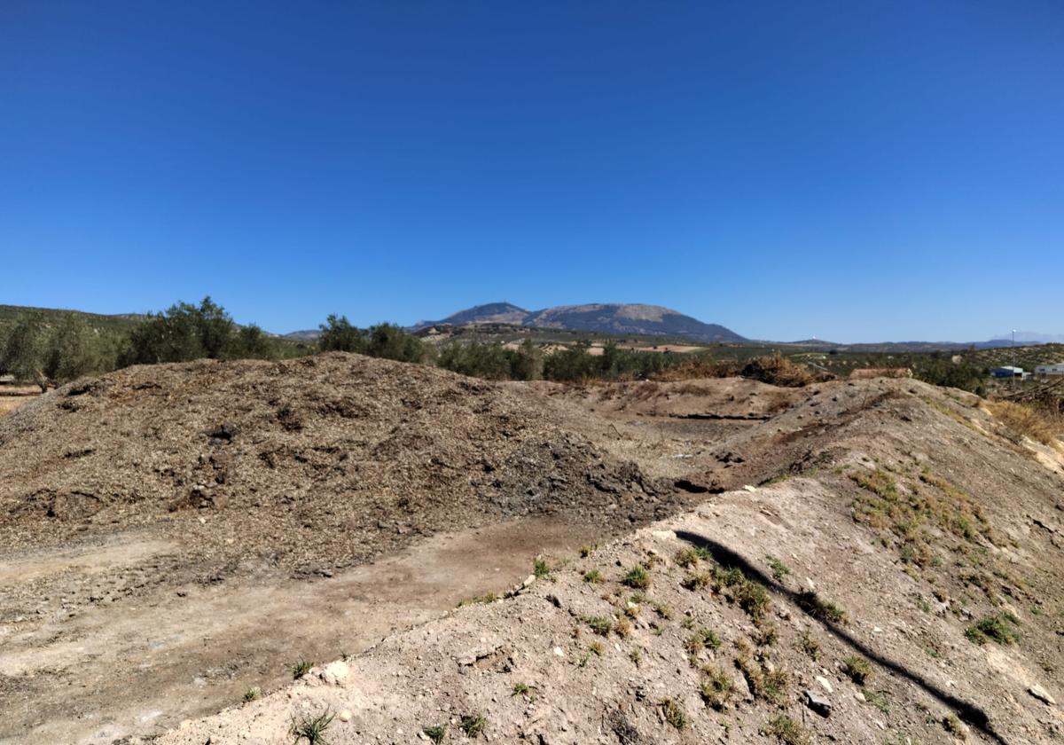 Terrenos en Villanueva Mesía.