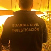 Macrooperación de la Guardia Civil contra la maría en cuatro pueblos de Granada