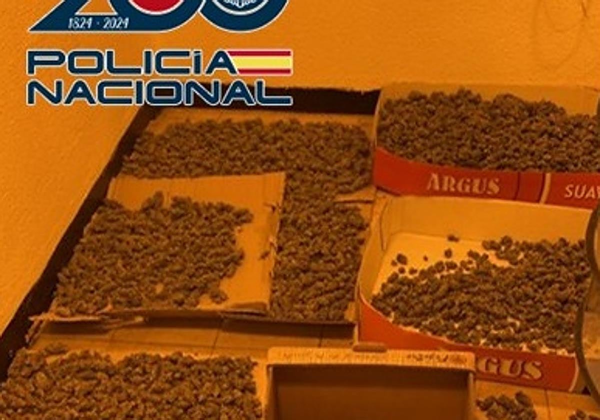 Marihauana hallada en el interior de una vivienda en la Chana