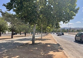 El mercadillo se instala cada domingo en la calle Casería Aguirre -en la foto- y en la Avenida Joaquina Eguaras, la perpendicular.