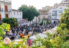 Concierto en el Festival Sierra de Sones