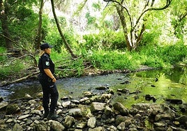 Policía Nacional Adscrita de Andalucía en la comuna hippie de Pago Beneficio.