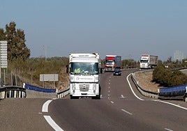 Las ocupaciones con más contratos en Almería