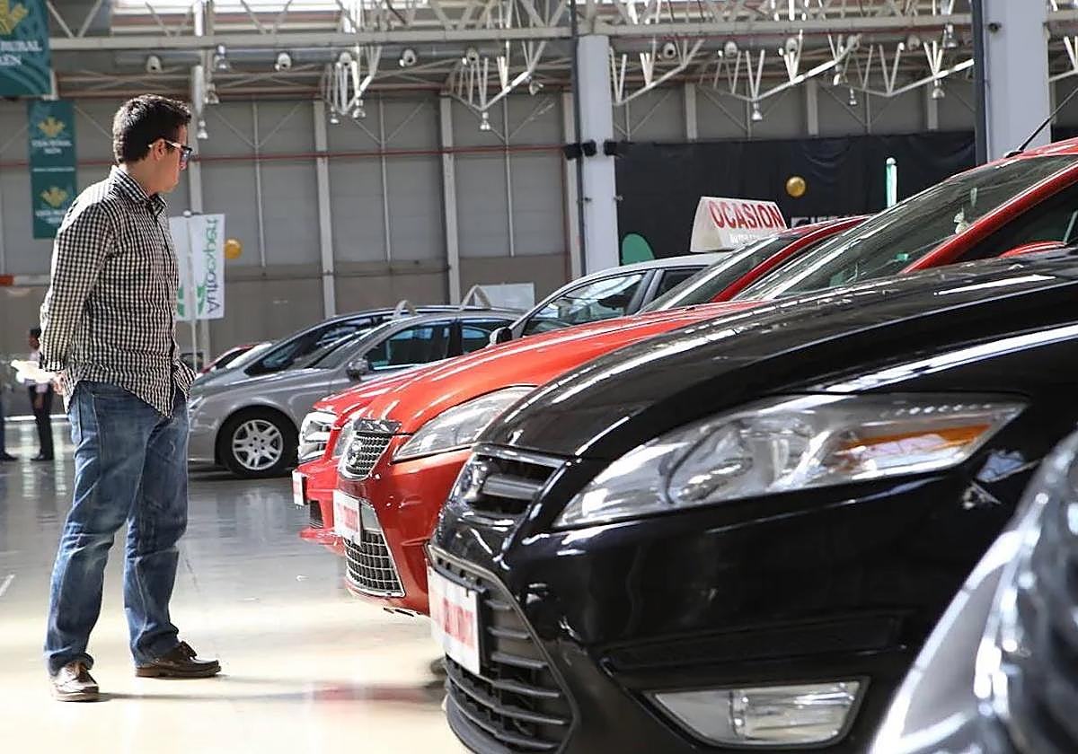 Cliente mirando varios vehículos de ocasión