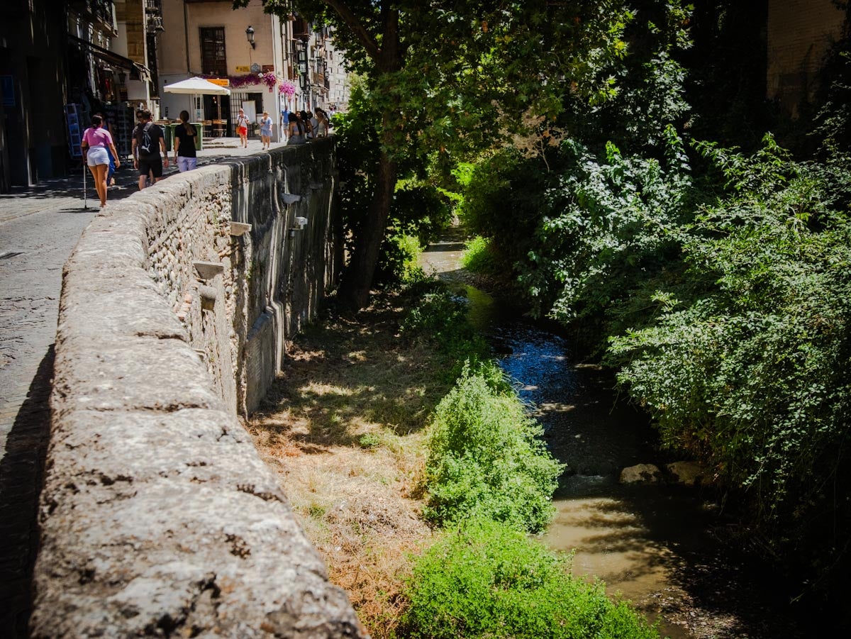 Las imágenes de la suciedad del río Darro este viernes en Granada