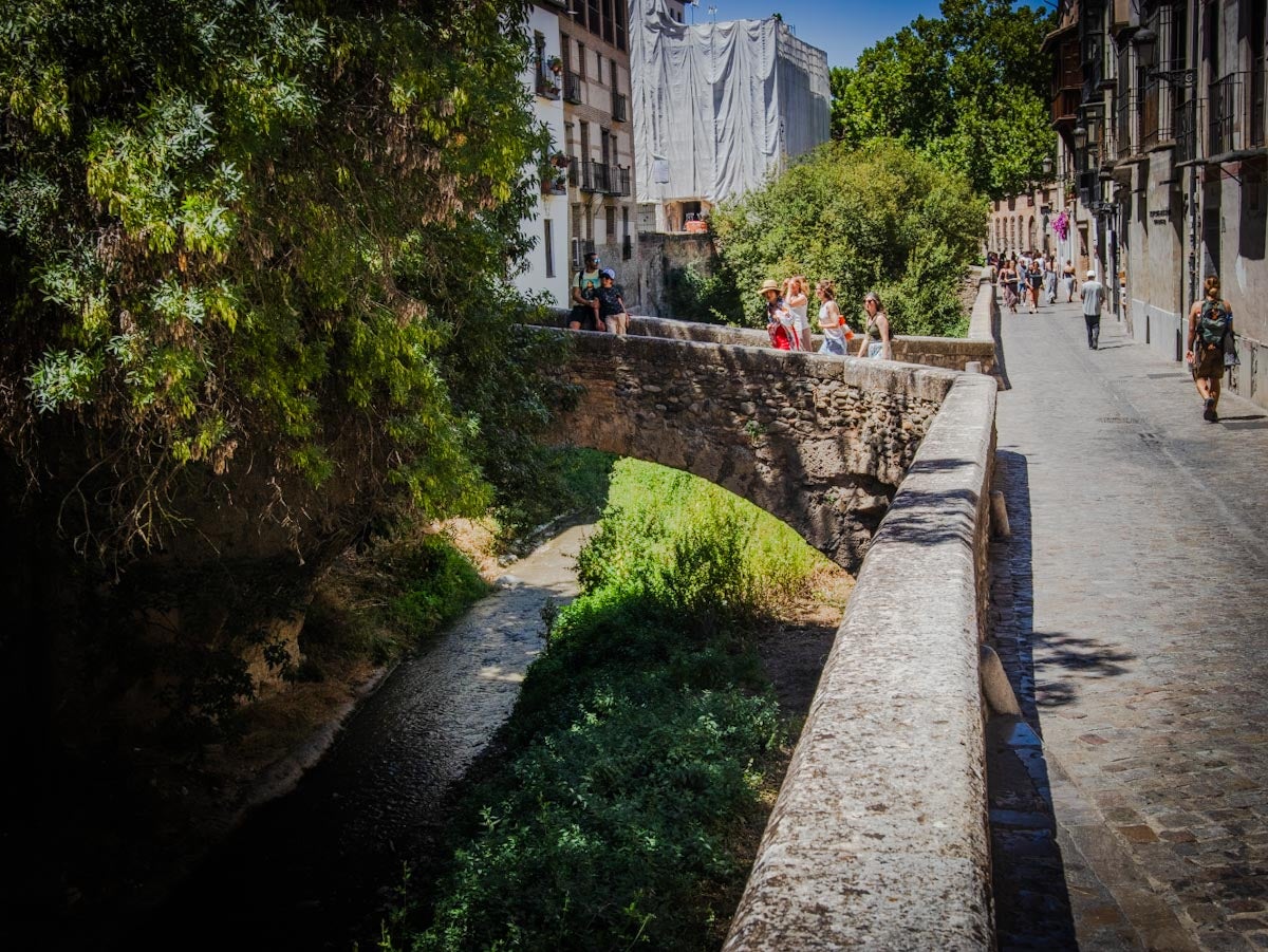 Las imágenes de la suciedad del río Darro este viernes en Granada