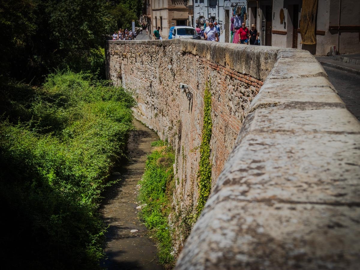 Las imágenes de la suciedad del río Darro este viernes en Granada