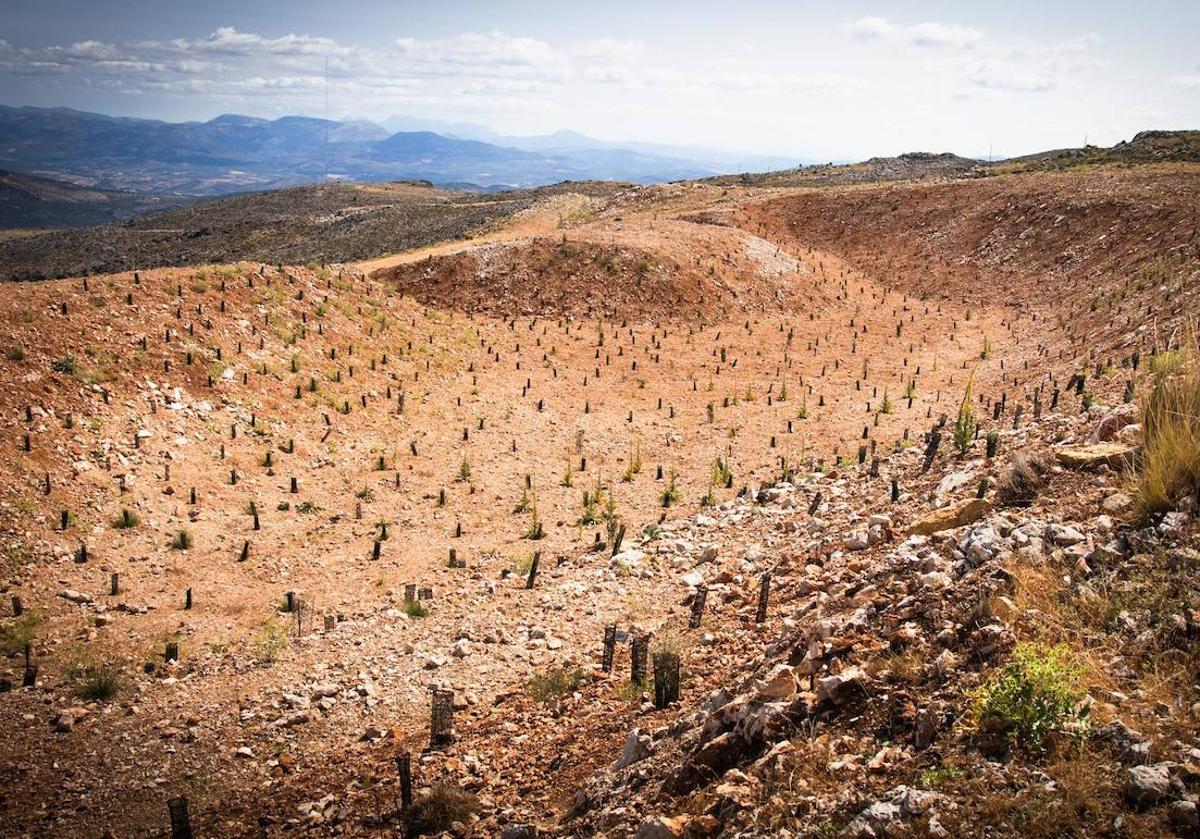 Imagen principal - Paisaje que ocupaba la antigua cantera de Íllora restaurado y los pozos sellados en el paraje de Turón.