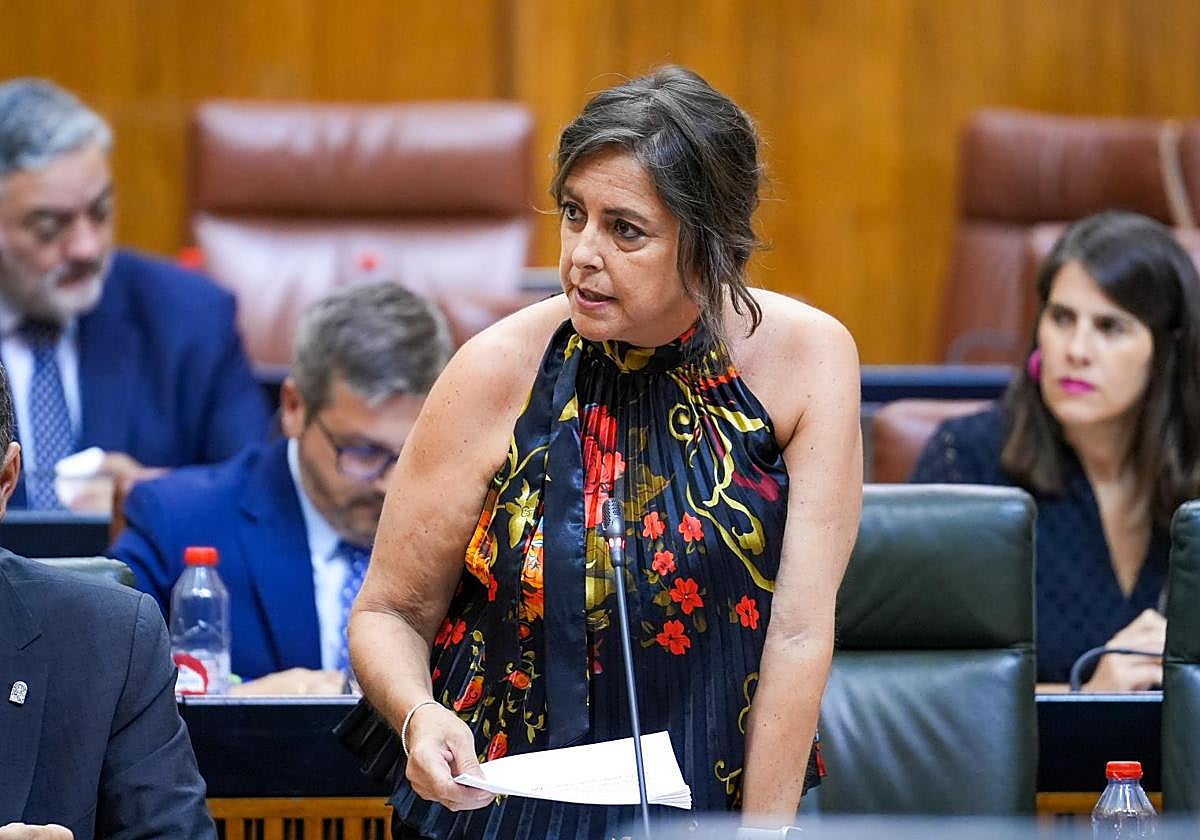 La consejera de Salud y Consumo Catalina García Carrasco durante una intervención en la segunda jornada del Pleno del Parlamento andaluz.