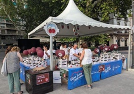 El oro rojo de Güéjar Sierra ha desembarcado este jueves en la Fuente de las Batallas.