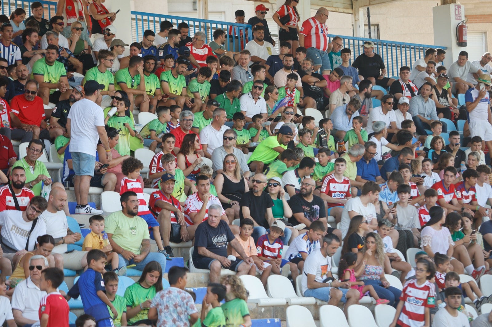 Encuéntrate en la grada durante el Granada-UD Almería