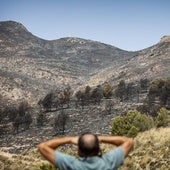 El primer gran incendio del verano en Granada arrasa 280 hectáreas de pinares en Pinos Puente